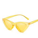 Fashion Triangle Retro Sunglasses For Women